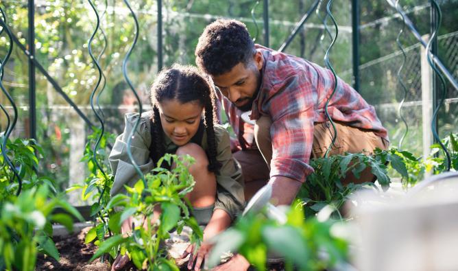 A happy young father with small daughter work outdoors in a backyard garden.