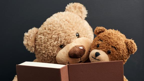 Two brown teddy bears are sitting with a book on a black background.