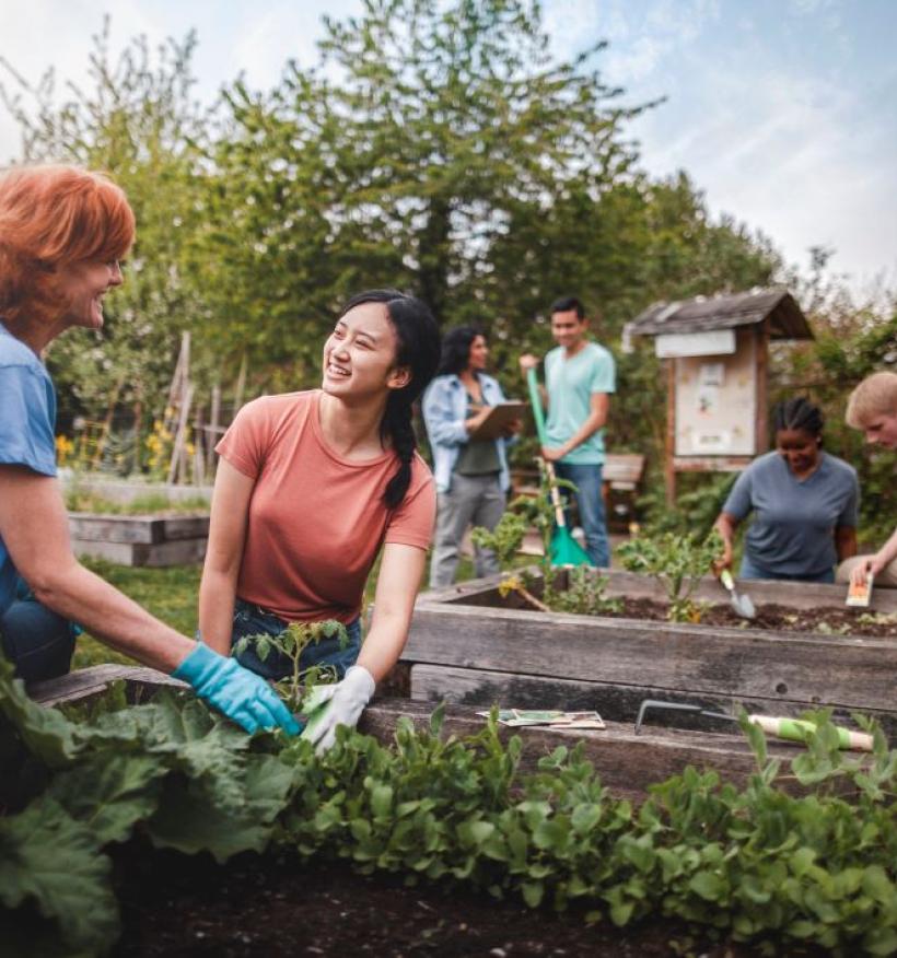 Several individuals engaged in gardening activities, planting and nurturing plants in a sunny outdoor space.